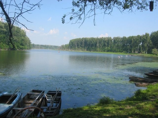 Tisza-tó program